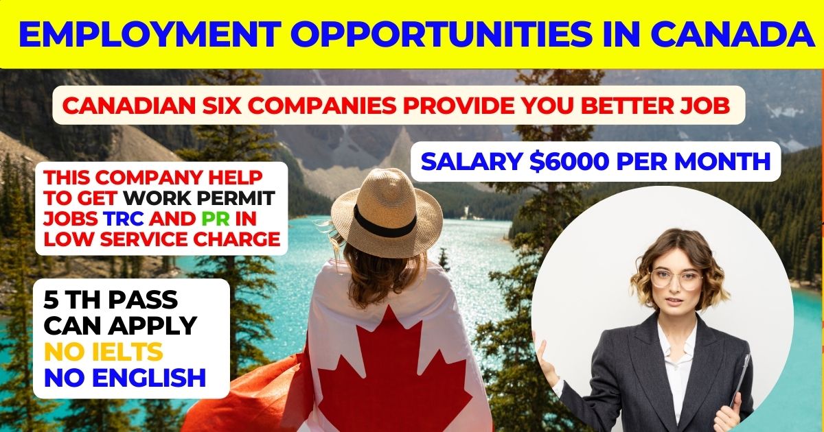 Employment Opportunities In Canada